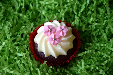 Muffins decorated with pink flowers on green background. Spring, Mother's Day, Valentine's Day concept. Homemade cupcake with whipped cream and pink flower on spring green grass background.の写真素材