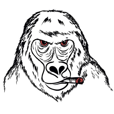Terrible smoking gorilla with red eyes. vector illustrationのイラスト素材