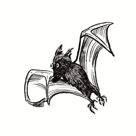 little cute flying batの写真素材