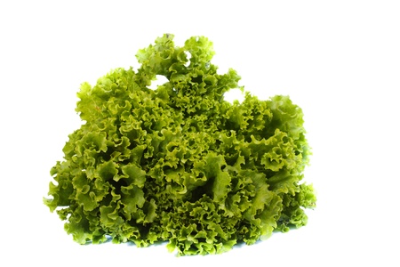 A fresh green lettuce isolated on white