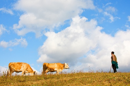 landscape with blue sky and white clouds, two cows and an old man の写真素材
