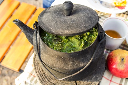 Fresh Healty Green Tea in a Teapot.  Outdoor Picnic. Blurred