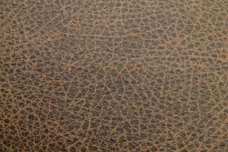 The Texture of the Brown soft Skin Substitute