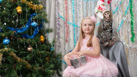greeting new year card with monkey  well-dressed girl, gift on chairの写真素材