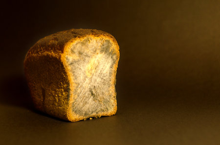 Half of the bread covered with mold on a black background.の写真素材