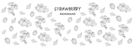 strawberry berry background, design element for packaging, banner, postcard, fabric, sketch illustrationのイラスト素材