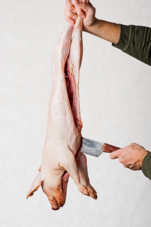 butcher with big knife gutting a little  pig の写真素材