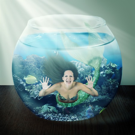 evil mermaid in a fishbowl with fish on tableの写真素材