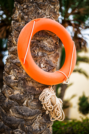 Lifebuoy life ring with rope hanging on palm tree in city in tropical country outsideの写真素材