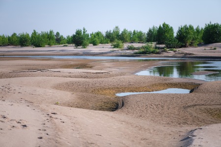 Landscape summer background of wild Sandy beach on tropical resort and green desert plant on...
