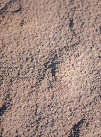 Defocus abstract background sand. Texture of Sandy beach on tropical resortの写真素材