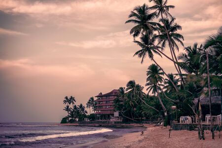 silhouette of palm trees and buildings on the sandy shore of the Indian Ocean, with beautiful clouds...