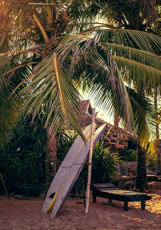 Surfboards set vertically with their elbows resting on a wooden stand in the sand at a surf station in Sri Lanka Hikkaduwaの写真素材