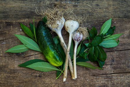 background with garlic in greensの写真素材