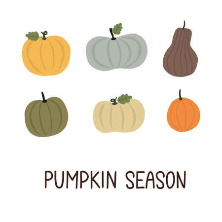 Cute trendy minimalistic thanksgiving card. Pumpkin season hand sketched lettering decorated by hand drawn pumpkins of different sizes and shapes. Vector illustrationのイラスト素材