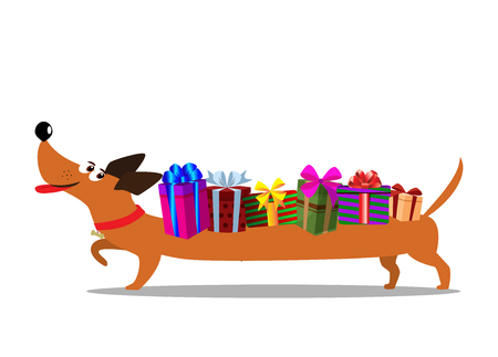 Cute cartoon long dachshund carrying gift boxes on the back isolated on white background. Vector illustration, clip art. Festive concept for banner, web, greeting card. のイラスト素材
