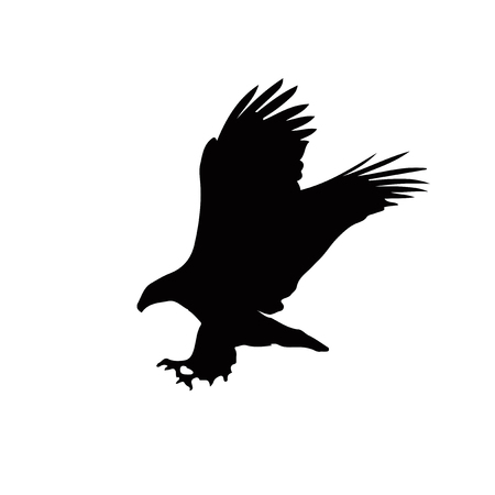 Black silhouette of eagle  isolated on white background. Vector illustration, clip art, icon, sign, symbol of eagle for design. のイラスト素材