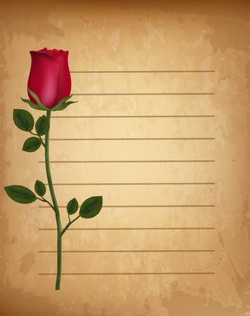 Red realistic rose on old vintage lined paper parchment backdrop. Template for greeting card, invitation. Valentines love wedding background with space for text. Highly detailed vector illustration.のイラスト素材