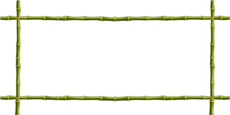 Wooden frame made of green bamboo sticks  with space for text or image.  mockup, clip art, border, template, photo frame isolated on white background.の写真素材