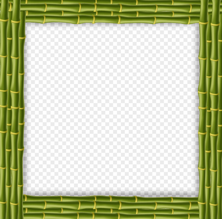 Square green wooden border frame made of realistic bamboo stems with empty copy space for text or image. Vector clip art, banner, template, signboard, billboard isolated on transparent backgroundのイラスト素材