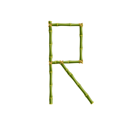 Vector bamboo alphabet. Capital letter R made of realistic green bamboo sticks poles isolated on white background. Abc concept for creating words, text, advertising, message.のイラスト素材