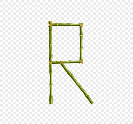 Vector bamboo alphabet. Capital letter R made of realistic green bamboo sticks poles isolated on transparent background. Abc concept for creating words, text, advertising, message.のイラスト素材