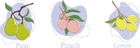 a set of illustrations of fruits on a branchのイラスト素材