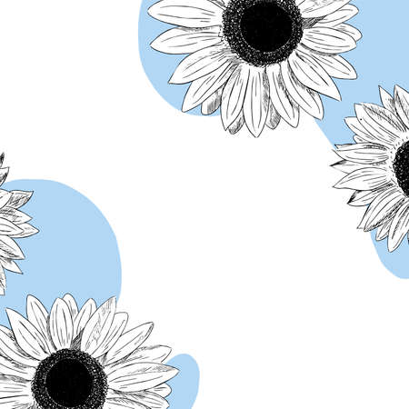 background illustration outline of sunflower flowersのイラスト素材