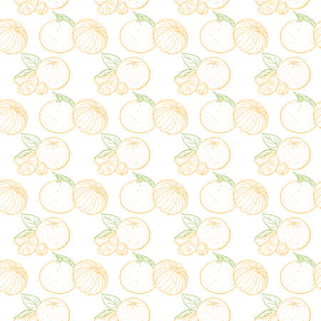 pattern outline of a colored tangerineのイラスト素材