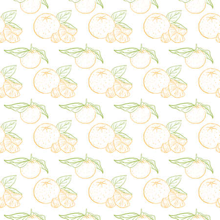 pattern outline of a colored tangerineのイラスト素材
