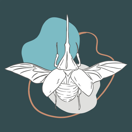 image contour beetle with wingsのイラスト素材