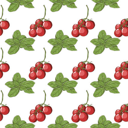 Cherry tomatoes and basil patternのイラスト素材