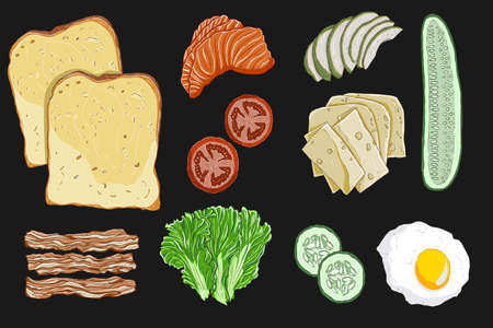 Sandwich bread and various ingredientsのイラスト素材