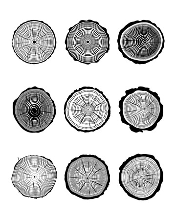 Set of cross section of different  trunksのイラスト素材
