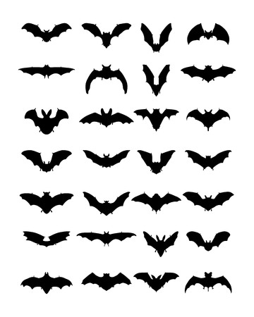 Big set of black silhouettes of bats on a white backgroundのイラスト素材