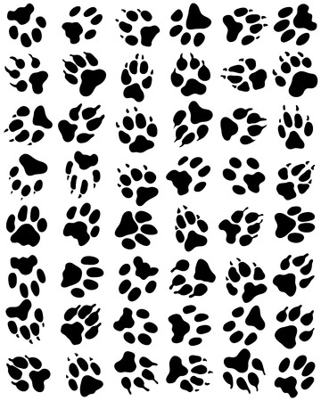 Seamless pattern of print of dogs paws on a white backgroundのイラスト素材