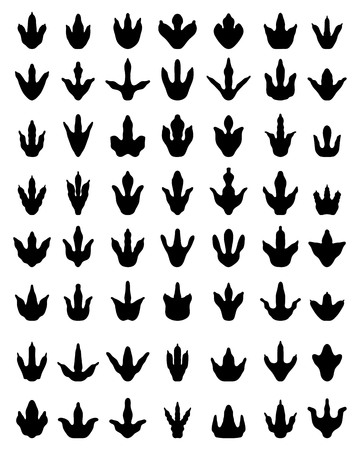 Black footprints of dinosaurs on a white backgroundのイラスト素材