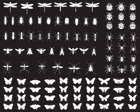 Black silhouettes of insects, vectorのイラスト素材
