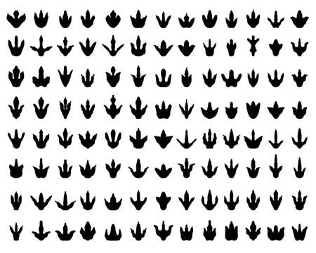 Black footprints of dinosaurs on a white backgroundのイラスト素材