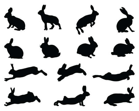 Black silhouettes of rabbits on white backgroundのイラスト素材