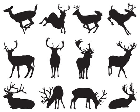 Graphic black silhouettes of wild deers on a white backgroundのイラスト素材