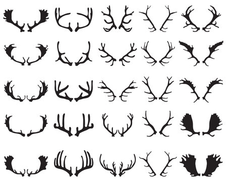 Black silhouettes of different deer horns on a white backgroundのイラスト素材