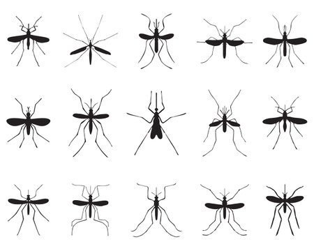 Black silhouettes of dragonflies  on a white backgroundのイラスト素材