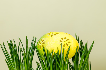 yellow easter egg on green grass