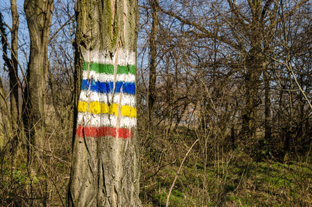 colorful touristic sign on the treeの写真素材