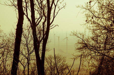 several windmills filtered retro effectの写真素材