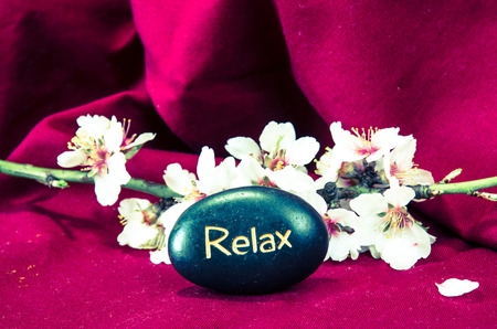white spring blossoming flower and lava stone backgroundの写真素材
