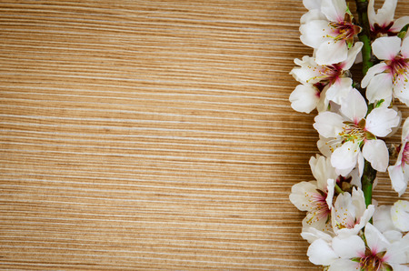 white spring blossoming flower background filtered retro effectの写真素材