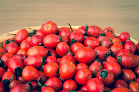 group of red brier fruitsの写真素材