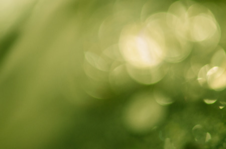 shiny glowing green abstract background